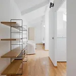 Milano Viale Umbria Bright Studio